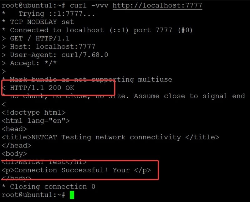 Netcat IP SCANNER