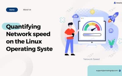 Quantifying Network Speed on the Linux Operating System