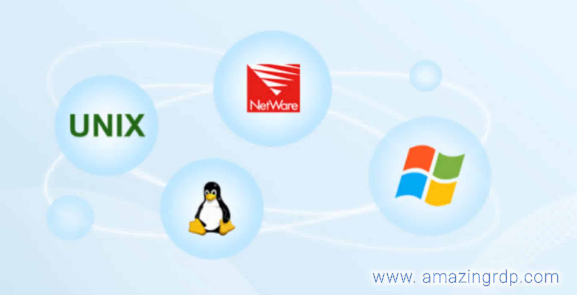 Server Operating system OS